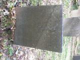 image of grave number 589250